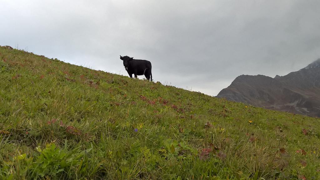 Rodasia Verbier Esterno foto